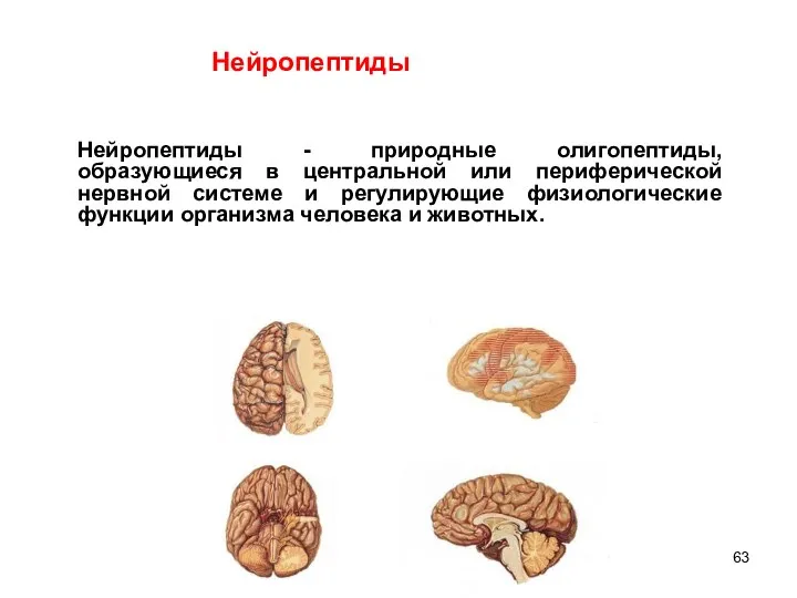 Нейропептиды - природные олигопептиды, образующиеся в центральной или периферической нервной