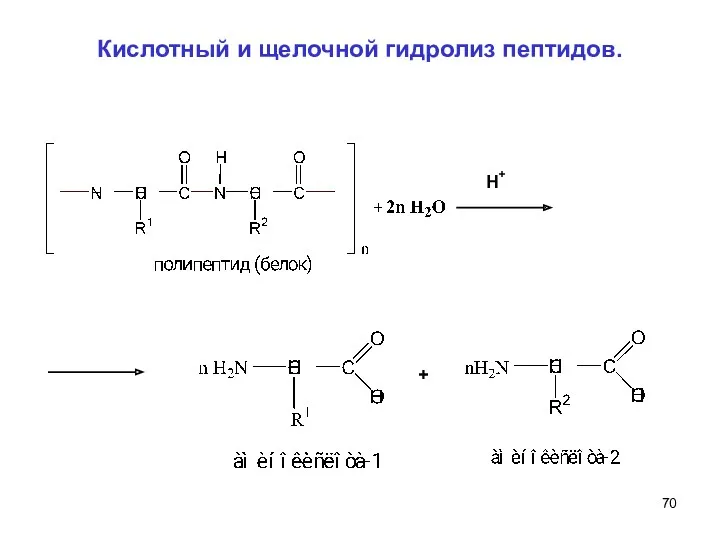 Кислотный и щелочной гидролиз пептидов. H + +