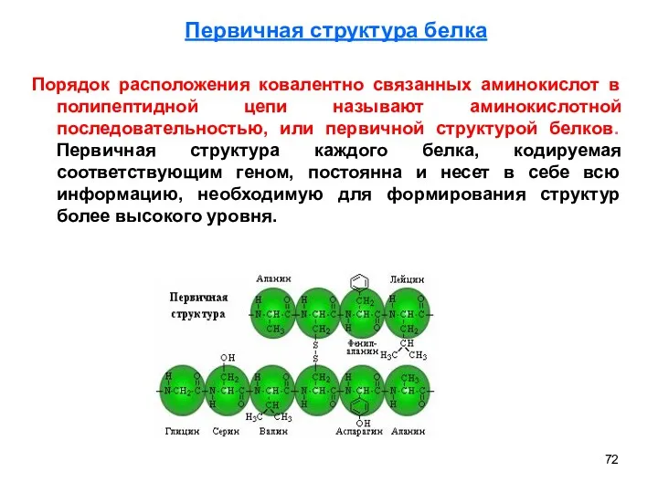 Порядок расположения ковалентно связанных аминокислот в полипептидной цепи называют аминокислотной