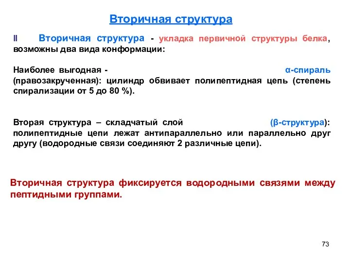 Вторичная структура фиксируется водородными связями между пептидными группами. II Вторичная