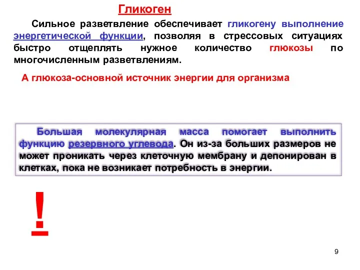 Сильное разветвление обеспечивает гликогену выполнение энергетической функции, позволяя в стрессовых