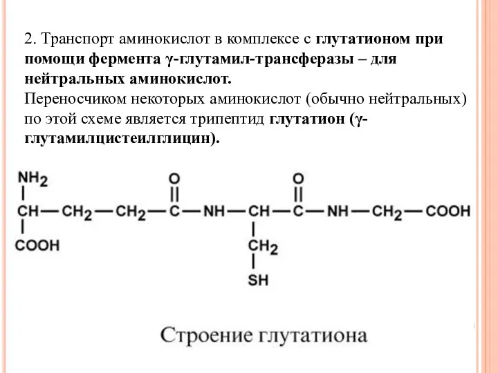 2. Транспорт аминокислот в комплексе с глутатионом при помощи фермента γ-глутамил-трансферазы – для