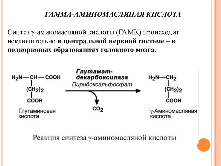 ГАММА-АМИНОМАСЛЯНАЯ КИСЛОТА Синтез γ-аминомасляной кислоты (ГАМК) происходит исключительно в центральной