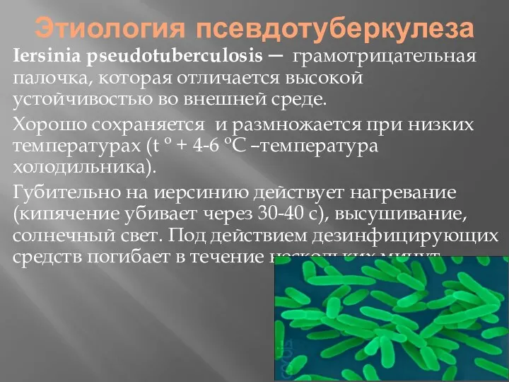 Этиология псевдотуберкулеза Iersinia pseudotuberculosis ─ грамотрицательная палочка, которая отличается высокой