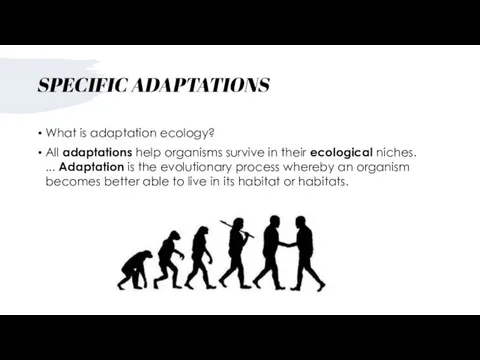 SPECIFIC ADAPTATIONS What is adaptation ecology? All adaptations help organisms