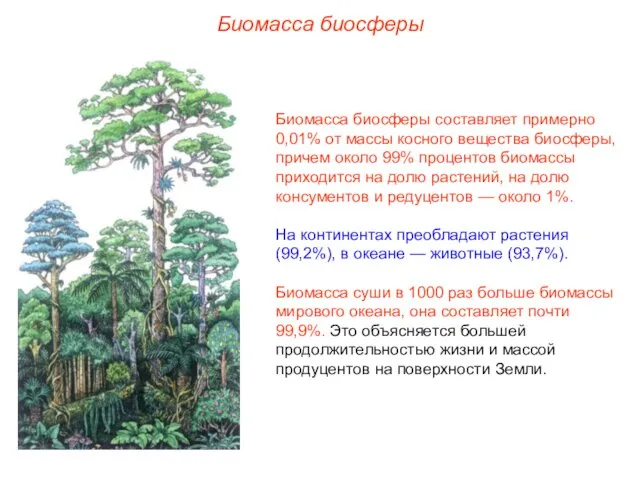 Биомасса биосферы Биомасса биосферы составляет примерно 0,01% от массы косного