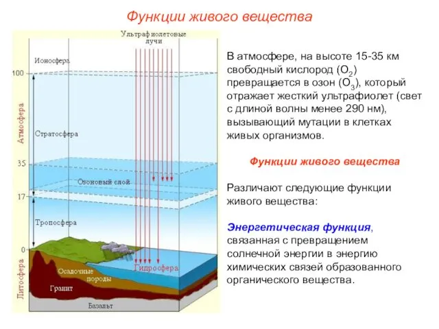 В атмосфере, на высоте 15-35 км свободный кислород (О2) превращается