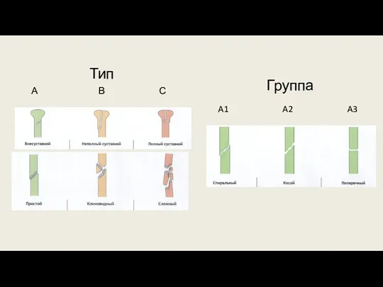 Тип А В С Группа A1 A2 A3