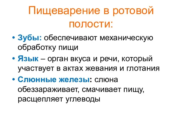 Пищеварение в ротовой полости: Зубы: обеспечивают механическую обработку пищи Язык