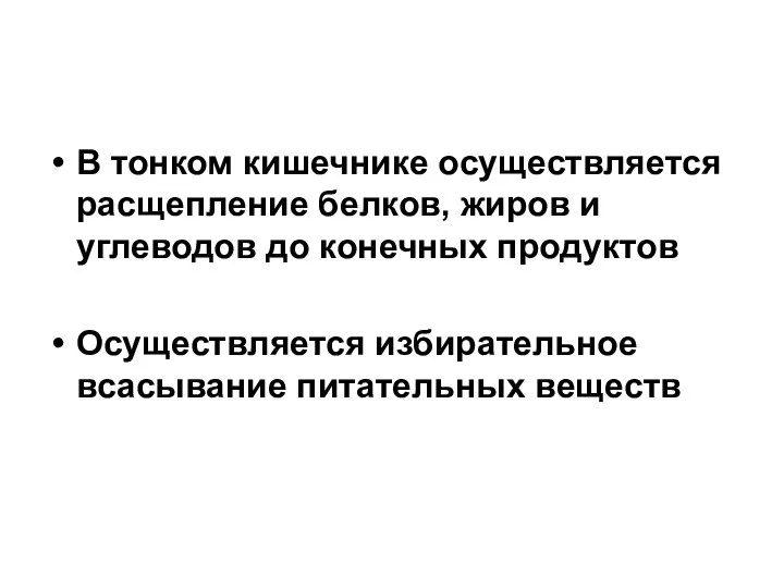 В тонком кишечнике осуществляется расщепление белков, жиров и углеводов до