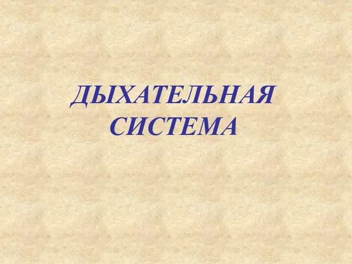 ДЫХАТЕЛЬНАЯ СИСТЕМА