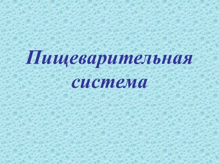 Пищеварительная система