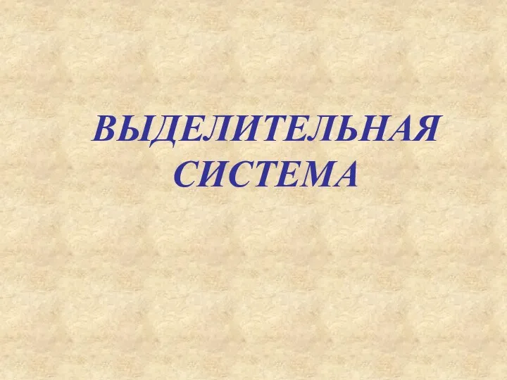 ВЫДЕЛИТЕЛЬНАЯ СИСТЕМА