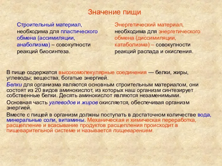 В пище содержатся высокомолекулярные соединения — белки, жиры, углеводы; вещества,