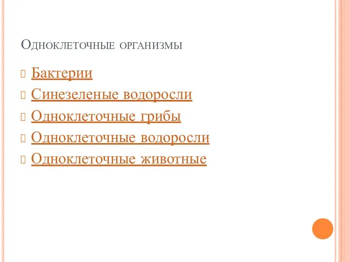 Одноклеточные организмы Бактерии Синезеленые водоросли Одноклеточные грибы Одноклеточные водоросли Одноклеточные животные