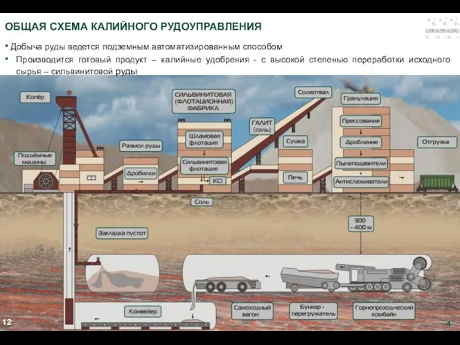 ОБЩАЯ СХЕМА КАЛИЙНОГО РУДОУПРАВЛЕНИЯ Добыча руды ведется подземным автоматизированным способом