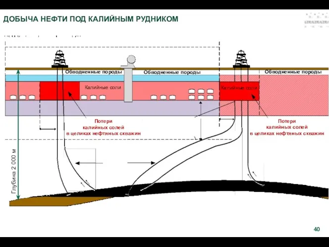 ДОБЫЧА НЕФТИ ПОД КАЛИЙНЫМ РУДНИКОМ Потери калийных солей в целиках