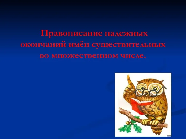 Правописание падежных окончаний имён существительных во множественном числе.