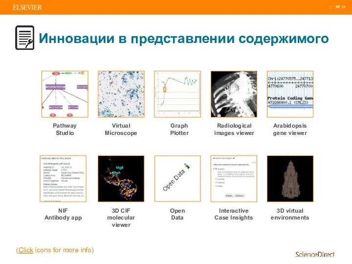 Инновации в представлении содержимого Pathway Studio Virtual Microscope Radiological images