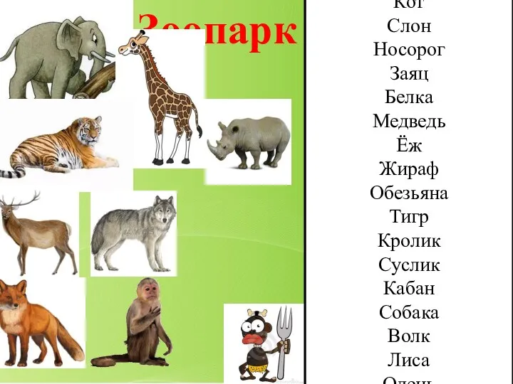 Зоопарк Кот Слон Носорог Заяц Белка Медведь Ёж Жираф Обезьяна