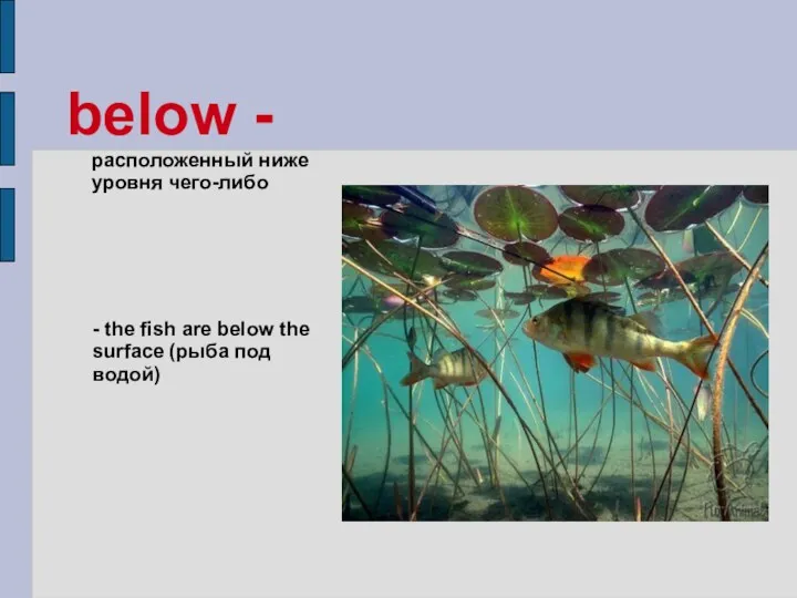 below - расположенный ниже уровня чего-либо - the fish are below the surface (рыба под водой)