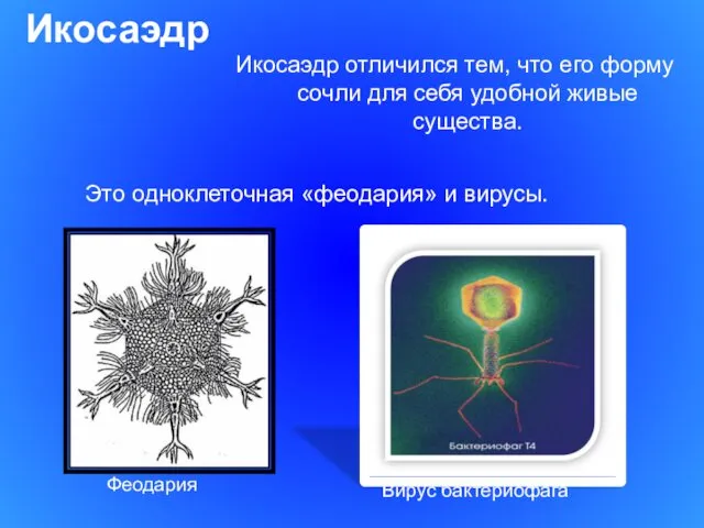 Икосаэдр Икосаэдр отличился тем, что его форму сочли для себя