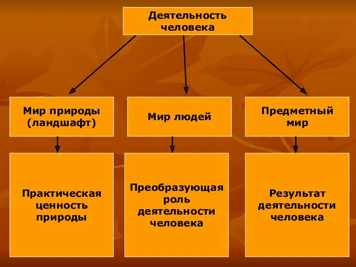 Деятельность человека Мир природы (ландшафт) Мир людей Предметный мир Практическая