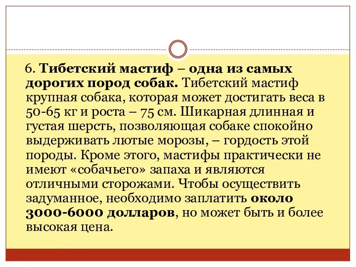 6. Тибетский мастиф – одна из самых дорогих пород собак.