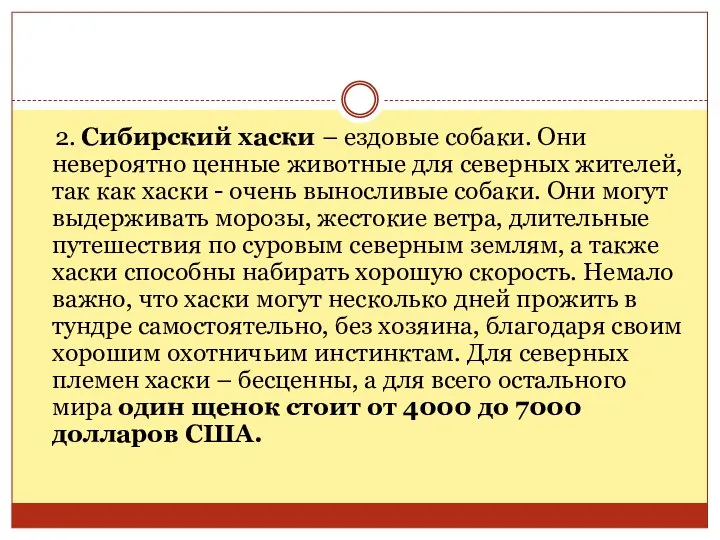 2. Сибирский хаски – ездовые собаки. Они невероятно ценные животные