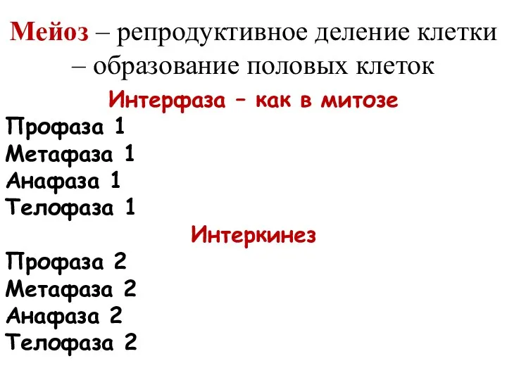 Мейоз – репродуктивное деление клетки – образование половых клеток Интерфаза