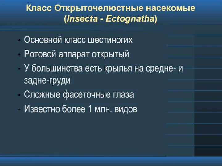 Класс Открыточелюстные насекомые (Insecta - Ectognatha) Основной класс шестиногих Ротовой