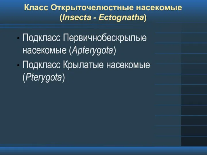 Класс Открыточелюстные насекомые (Insecta - Ectognatha) Подкласс Первичнобескрылые насекомые (Apterygota) Подкласс Крылатые насекомые (Pterygota)