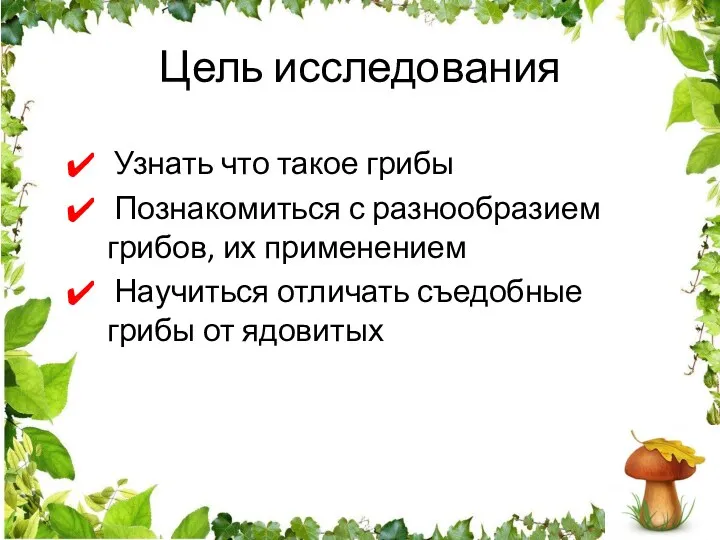 Цель исследования Узнать что такое грибы Познакомиться с разнообразием грибов, их применением Научиться