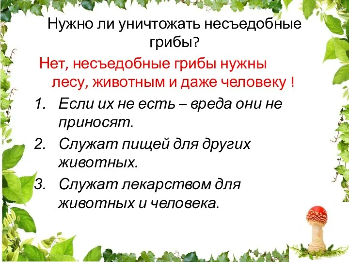 Нужно ли уничтожать несъедобные грибы? Нет, несъедобные грибы нужны лесу,