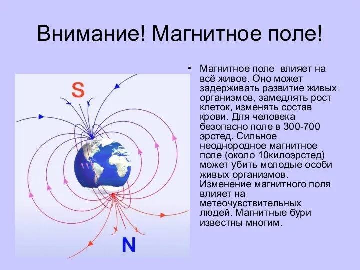 Внимание! Магнитное поле! Магнитное поле влияет на всё живое. Оно