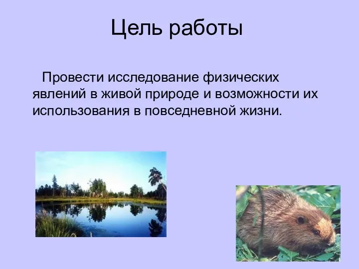 Цель работы Провести исследование физических явлений в живой природе и возможности их использования в повседневной жизни.