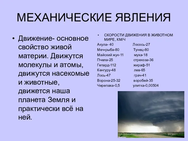 МЕХАНИЧЕСКИЕ ЯВЛЕНИЯ Движение- основное свойство живой материи. Движутся молекулы и