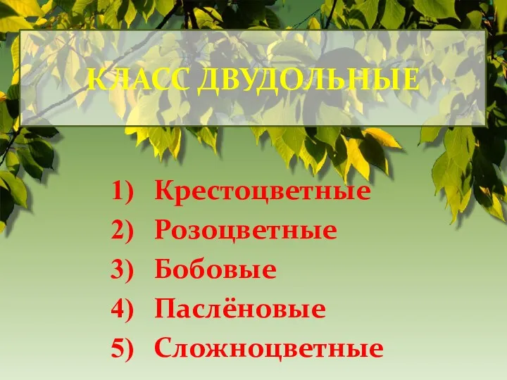 КЛАСС ДВУДОЛЬНЫЕ Крестоцветные Розоцветные Бобовые Паслёновые Сложноцветные