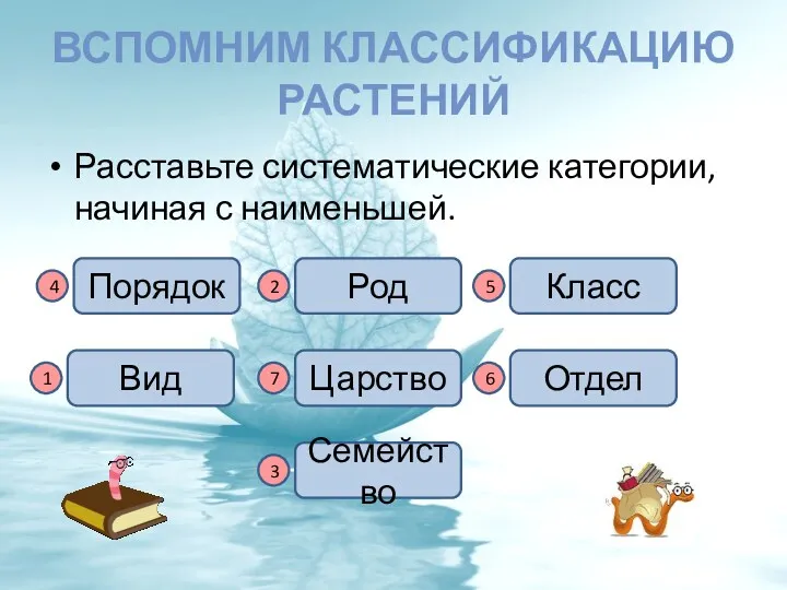 ВСПОМНИМ КЛАССИФИКАЦИЮ РАСТЕНИЙ Расставьте систематические категории, начиная с наименьшей. Вид