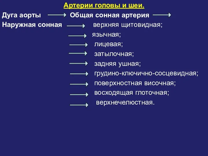 Артерии головы и шеи. Дуга аорты Общая сонная артерия Наружная