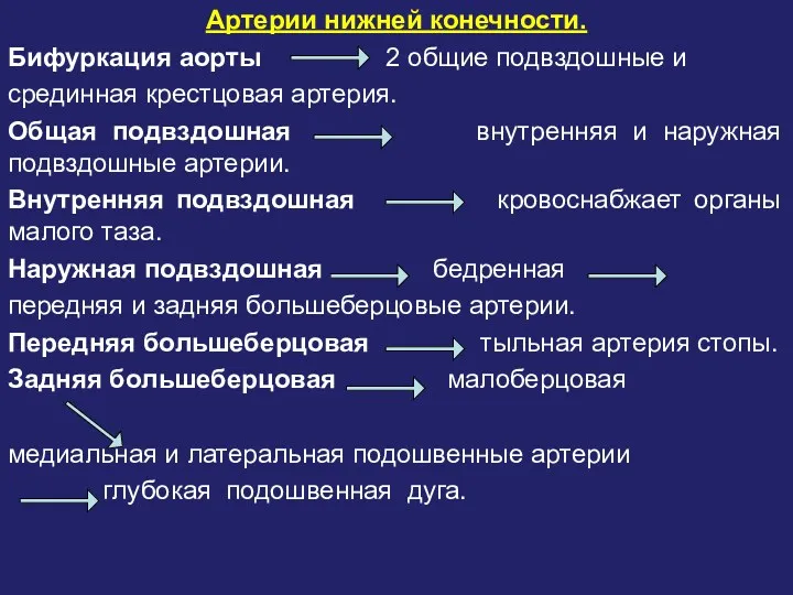 Артерии нижней конечности. Бифуркация аорты 2 общие подвздошные и срединная