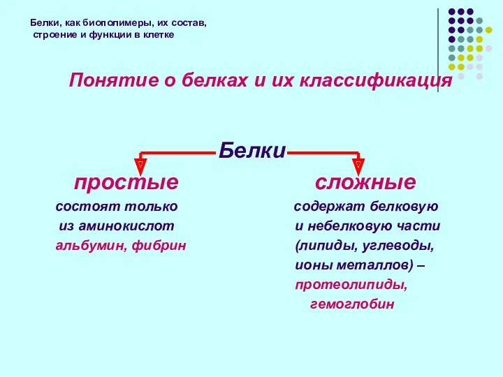 Белки простые сложные состоят только содержат белковую из аминокислот и