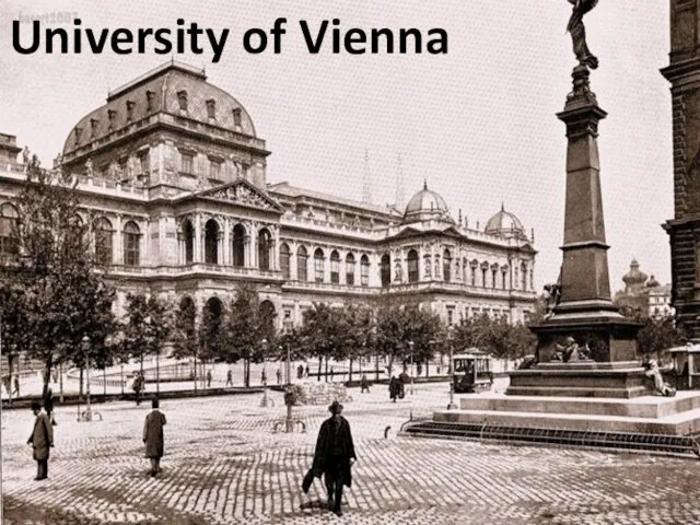 University of Vienna