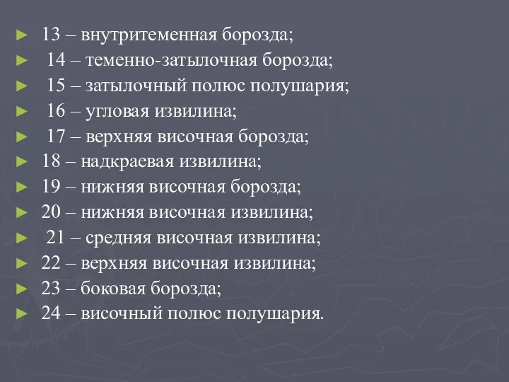 13 – внутритеменная борозда; 14 – теменно-затылочная борозда; 15 – затылочный полюс полушария;