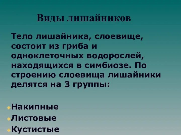 Виды лишайников Тело лишайника, слоевище, состоит из гриба и одноклеточных