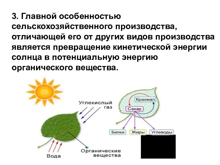 3. Главной особенностью сельскохозяйственного производства, отличающей его от других видов