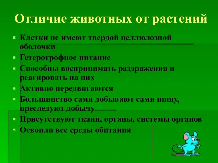 Отличие животных от растений Клетки не имеют твердой целлюлозной оболочки