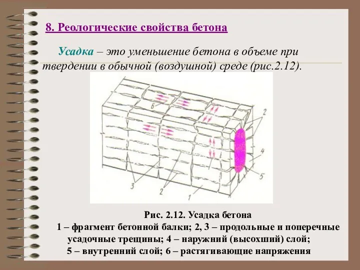 8. Реологические свойства бетона Усадка – это уменьшение бетона в