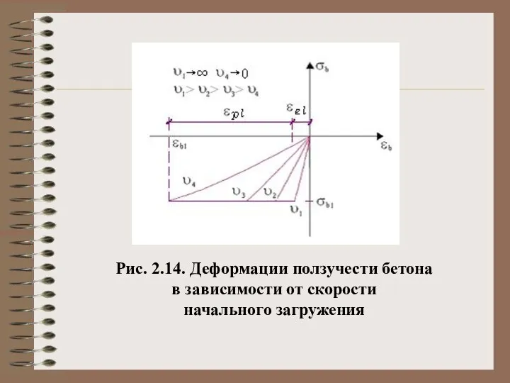 Рис. 2.14. Деформации ползучести бетона в зависимости от скорости начального загружения