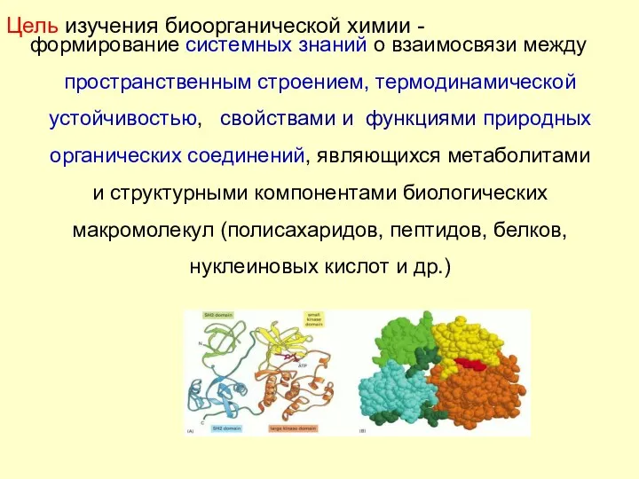 Цель изучения биоорганической химии - формирование системных знаний о взаимосвязи